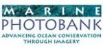 Call for entries: Ocean in Focus Conservation Photo Contest Photo