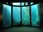 Monterey Bay Aquarium launches new exhibits Photo