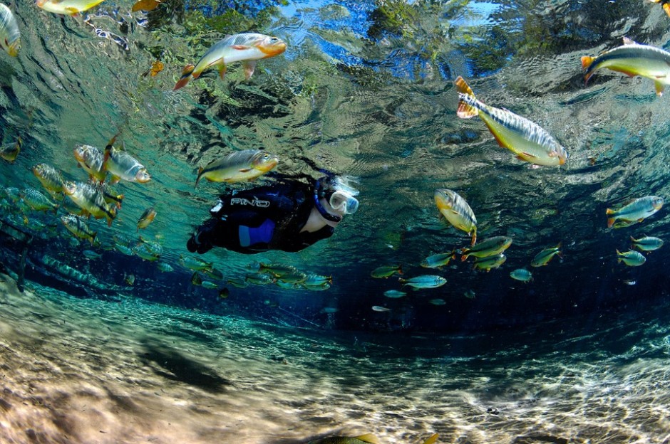 Diving in clear waters of Bonito and Nobres became major tourist attractions in Brazil.