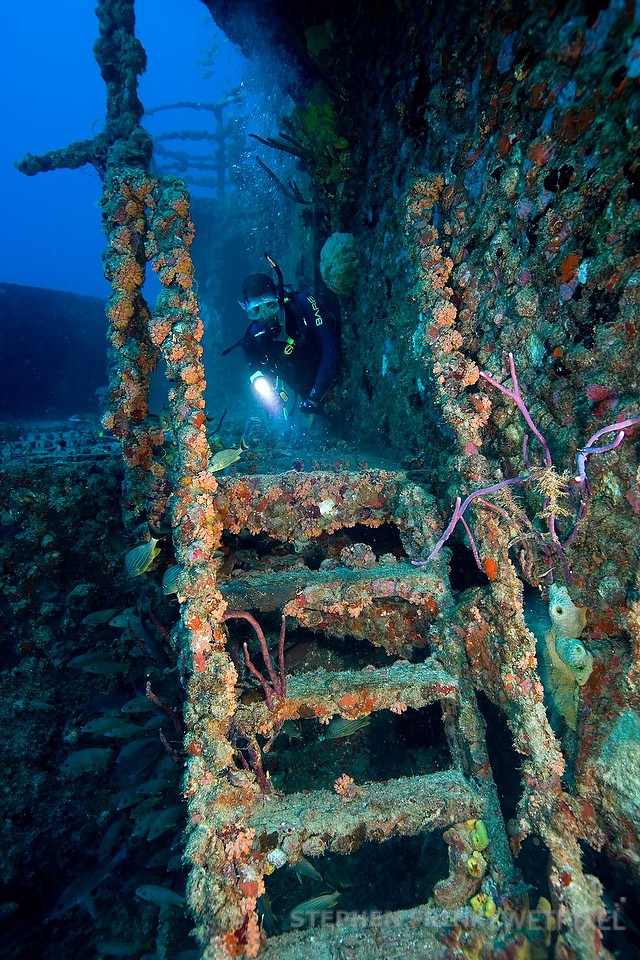 Diver swimming towards port stairs leading to wheelhouse, Duane shipwreck.