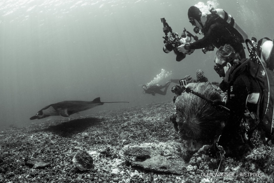 Glen Wagner: Underwater photographers.