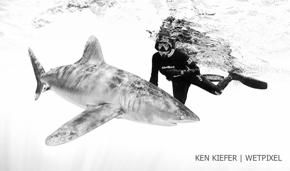 Ken's wife Kimber Kiefer on her first shark encounter,