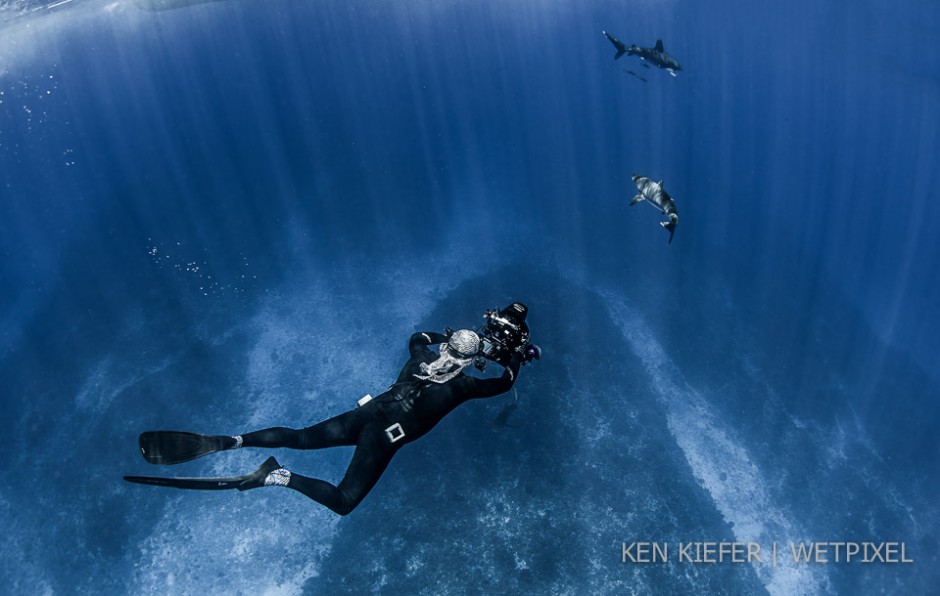 Michael Maes filming 2 silky sharks and an oceanic whitetip over a seamount.