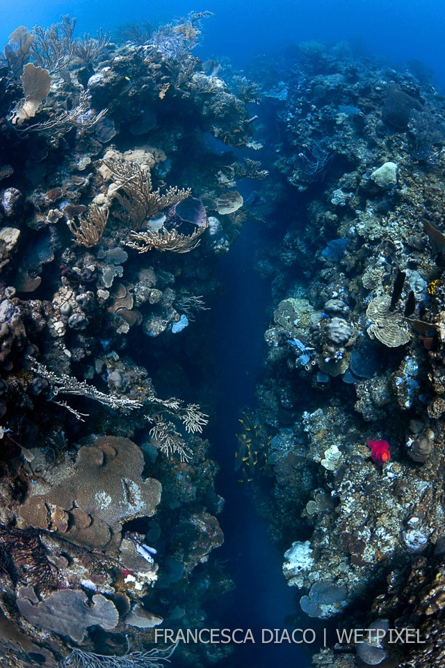 An overhead view of the coral encrutsed "crack" at Mary's Place, a signature dive site, on the south side of the island.