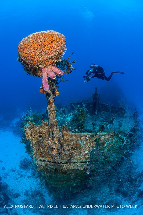 A diver  explores the wreck of the Comberbach. Stella Maris, Long Island, Bahamas.
