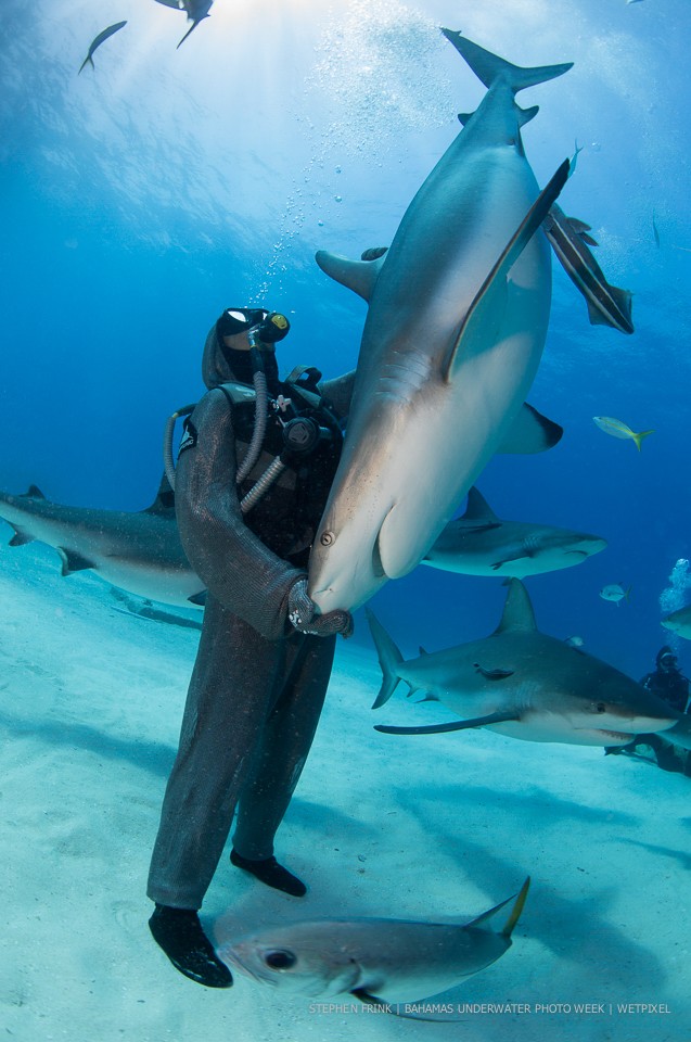 Stephen Frink: Bahamas Underwater Photo Week.