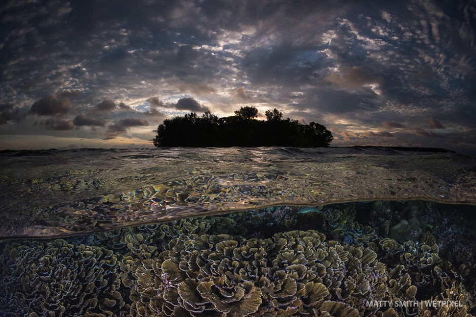 Cabbage coral reef at Sunset. Lissenung Island, PNG.
