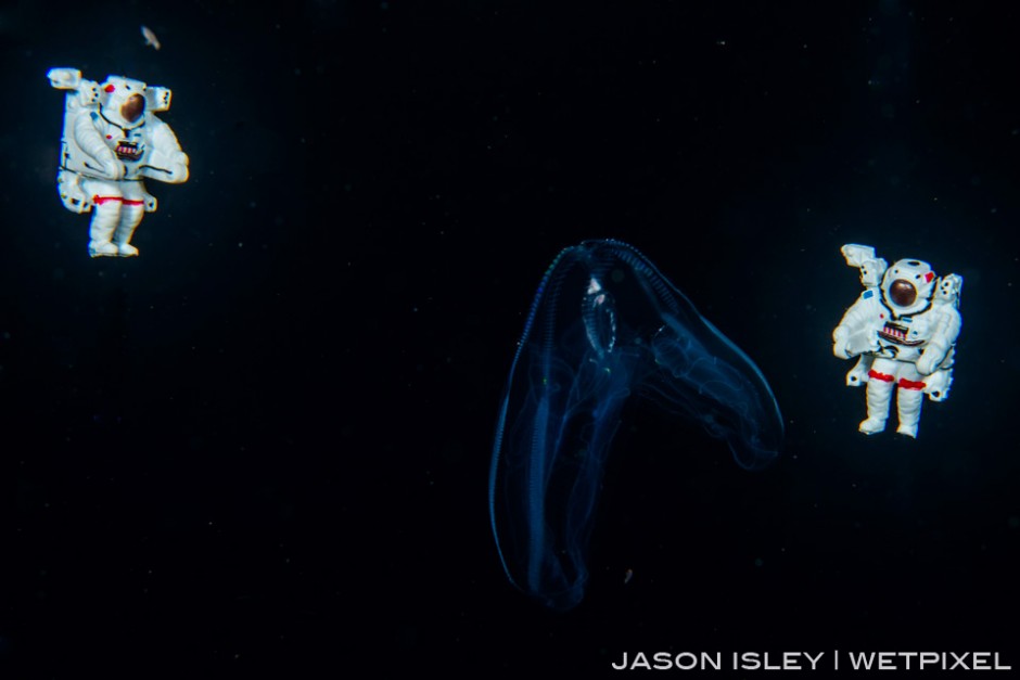 The astronauts check out the comb jelly drifting in the Abyss. (nikon D800, 60mm macro, nauticam)