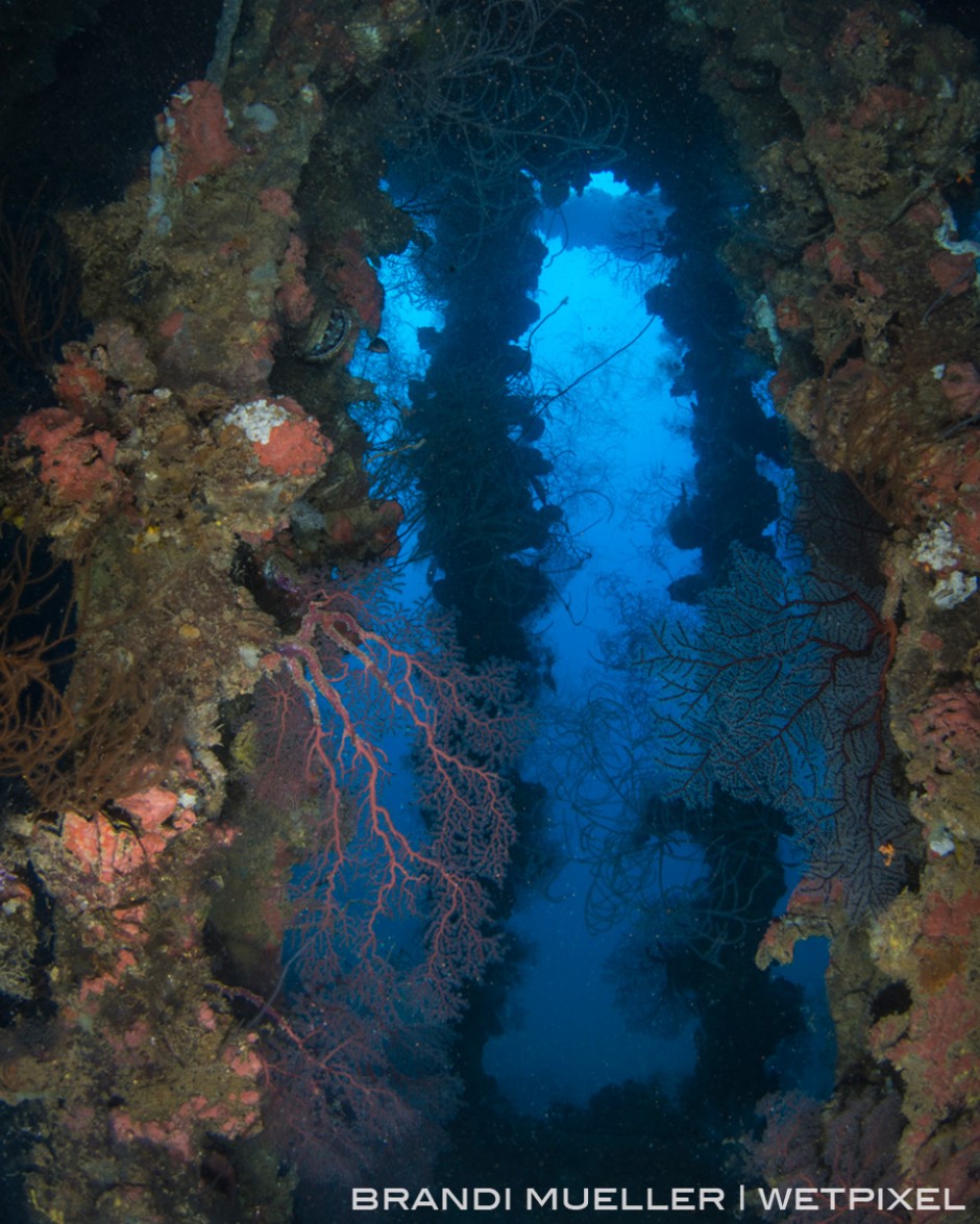 Sea fans and coral have decorated beams over a cargo hold on the Yamagiri Maru.