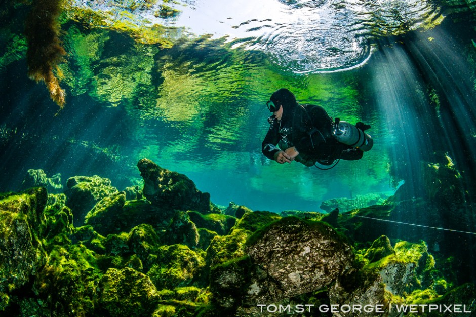 Underwater garden of Cenote Ponderosa.