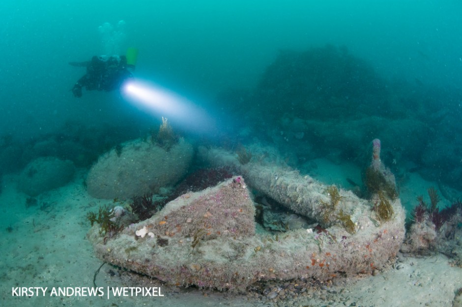 Anchor - wrecks vary from WWII icons to centuries old sites where the only visible remains are canon and anchors.