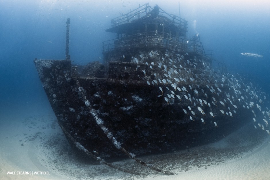 M/V Ana Cecilia wreck off of West Palm Beach. While wreck diving is not one of the Palm Beach Coasts signature traits, there are a few in 70 – 100-foot depth range that makes for a fun dive. 
