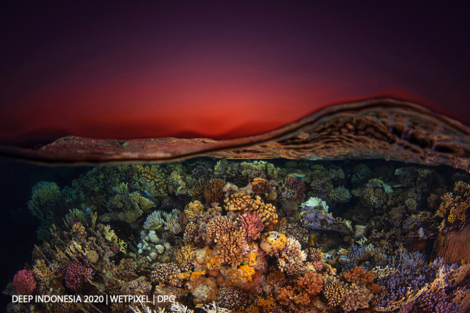 Reefscapes category honorable mention: **Luc Roman** | *Reefscape 1 Red Sea*
