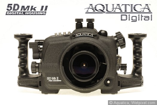  the housing for the incredible Canon 5D mark II, with 21 mega pixels and 