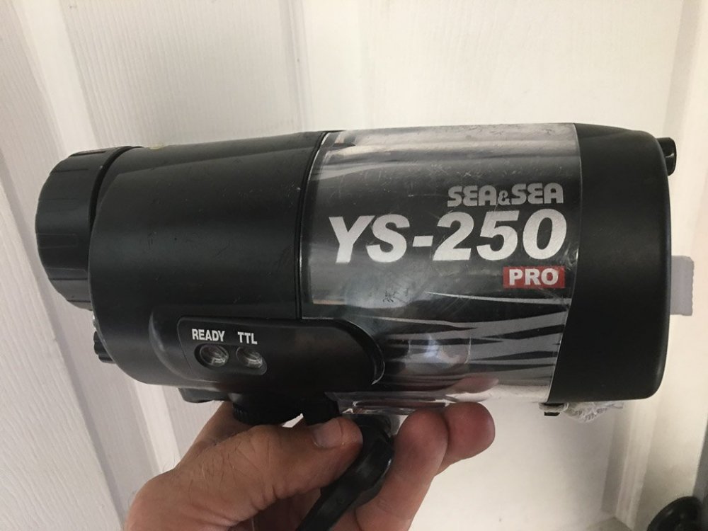 YS-250 for sale-0728-1.jpg