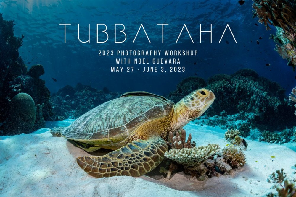 Tubbataha 2023 Social Announcement.jpg
