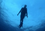 First Panasonic 8mm fisheye underwater footage in the wild Photo