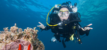 Part 2: Rebreathers for Image Making by Nicolas Remy Photo