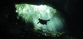Live Reports: Wetpixel/Under the Jungle Cenote Workshop Photo