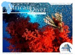 African Diver issue 40 available Photo