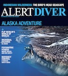 Alert Diver fall edition published Photo