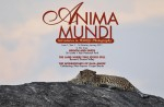 Online magazine Anima Mundi launched Photo