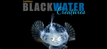 Second Edition of Blackwater Creatures Available Photo