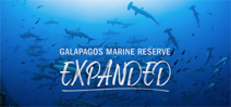 Galapagos Marine Reserve Increased by 45% Photo