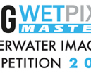 DPG/Wetpixel Master 2022 is Open for Entries Photo