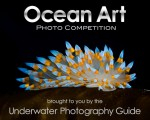 Final call for entries: Ocean Art 2011 Photo