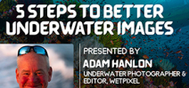Underwater Imaging Speakers at PHIDEX 2021 Photo