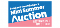 Bid now: Sea Save Summer Auction Photo