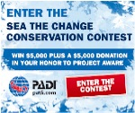 Call for entries: Sea the Change Conservation Contest Photo