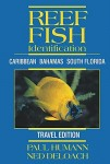 New World Publications produce Reef Fish ID Travel Edition Photo