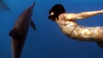 Together: Dancing with spinner dolphins world première Photo