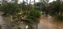 Cyclone Gita devastates island nation of Tonga Photo