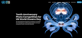 Call for Entries: UN World Oceans Day Contest 2023 Photo