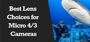 Wetpixel Live: Lens Choices for Micro 4/3 cameras Photo