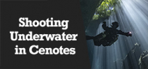 Wetpixel Live: Underwater Image Making in Mexico’s Cenotes Photo
