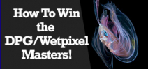 Wetpixel Live: Winning the DPG Wetpixel Masters Contest Photo