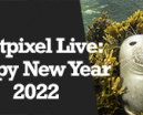 Wetpixel Live: Happy New Year 2022 Photo