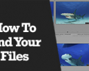 Wetpixel Live: How To Find Your Files Photo