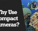 Wetpixel Live: Compact Cameras for Underwater Photographers Photo