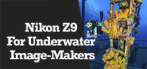 Wetpixel Live: Nikon Z9 for Underwater Image Makers Photo