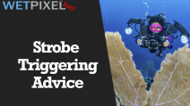 Wetpixel Live: Strobe Triggering Advice Photo