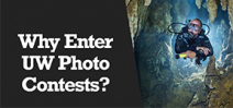 Wetpixel Live: Why enter Photography Contests? Photo