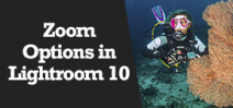 Wetpixel Live: Zoom Features in Lightroom 10 Photo