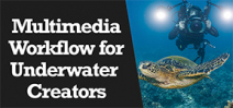 Wetpixel Live: Multimedia Workflow for Underwater Creators Photo