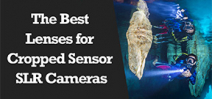 Wetpixel Live: Lens Choices for Cropped Sensor SLR cameras Photo