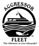 Aggressor and Dancer fleet launch photo competition. Photo